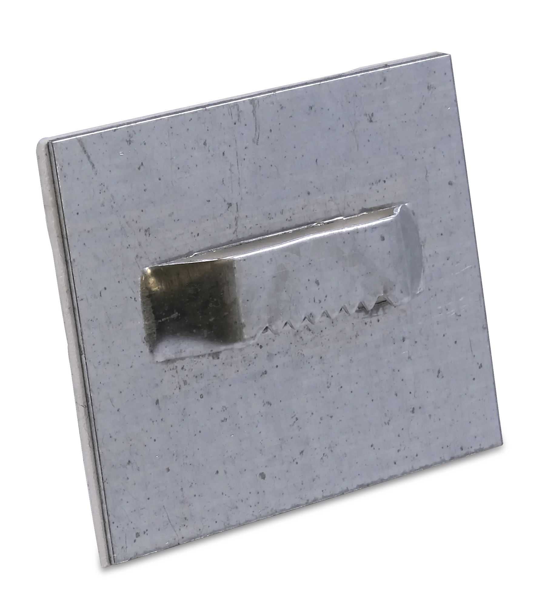 Easily Distracted by... Glossy Aluminium Print